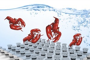 生蠔如何快速清洗?超聲波清洗機(jī)讓生蠔小龍蝦田螺大閘蟹更美味 生蠔如何快速清洗?超聲波清洗機(jī)讓生蠔小龍蝦田螺大閘蟹更美味